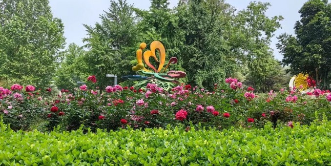 刚赞此中多美景  大妈亮相百花羞