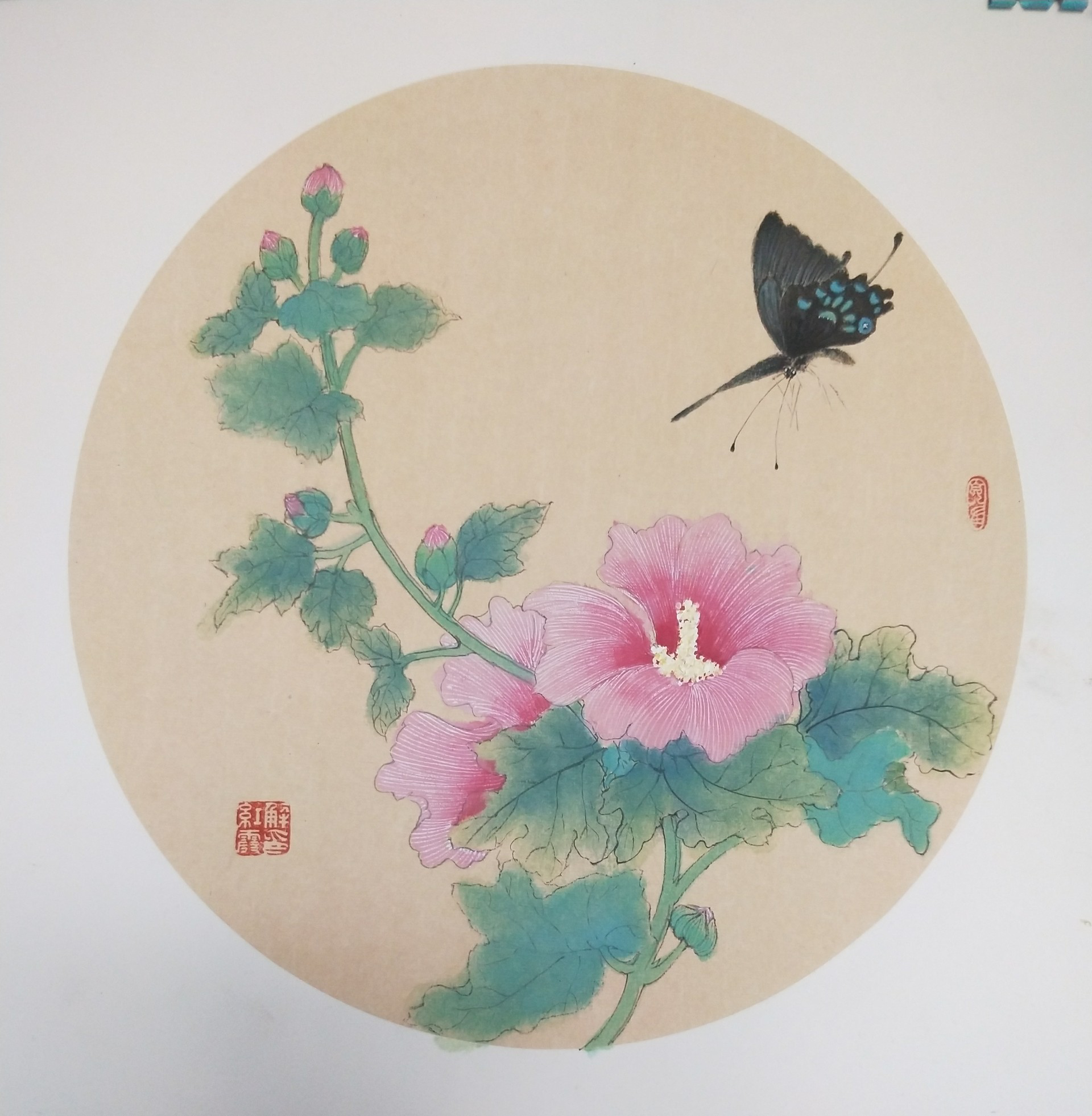 ϼƷ