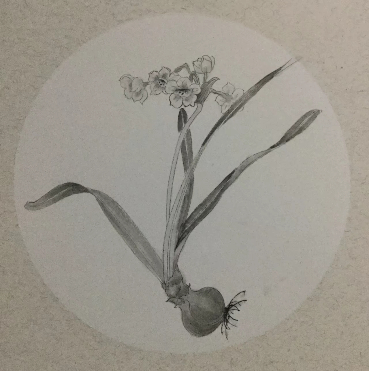 ϼƷ