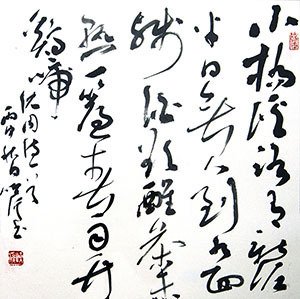 йŴʮ鷨֮