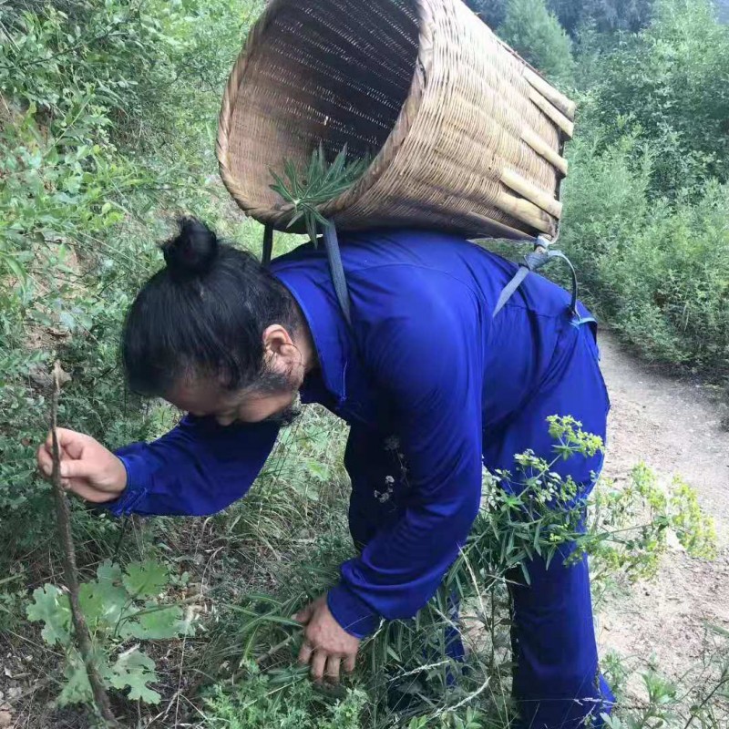 拉指诊疗非遗传承人——雷尚 拉指诊疗非遗传承人——雷尚